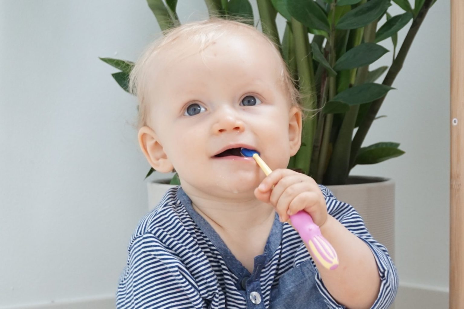 KINDER UND ZÄHNE PUTZEN + 8